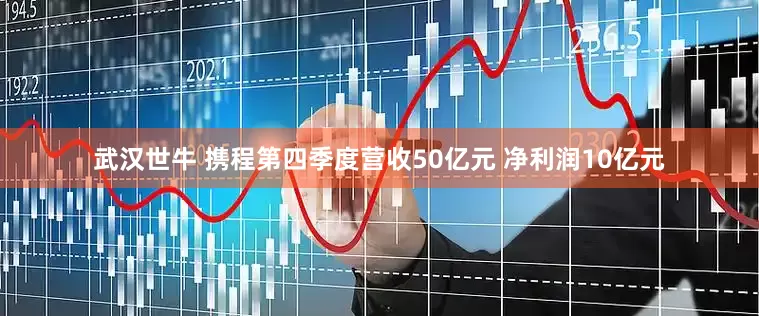 武汉世牛 携程第四季度营收50亿元 净利润10亿元