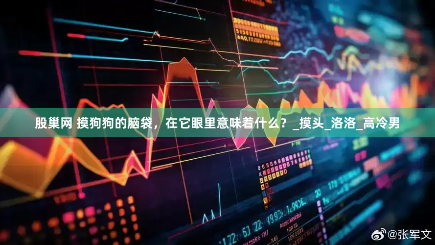 股巢网 摸狗狗的脑袋，在它眼里意味着什么？_摸头_洛洛_高冷男