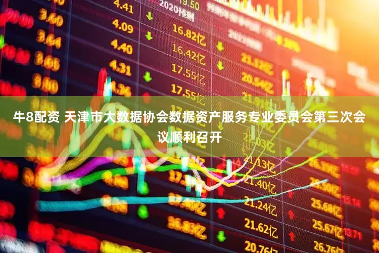 牛8配资 天津市大数据协会数据资产服务专业委员会第三次会议顺利召开