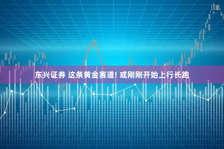 东兴证券 这条黄金赛道! 或刚刚开始上行长跑